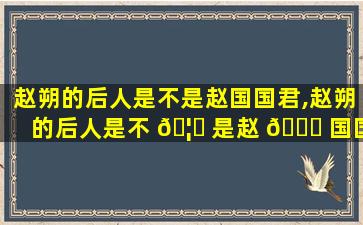 赵朔的后人是不是赵国国君,赵朔的后人是不 🦆 是赵 🐒 国国君的后代